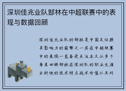深圳佳兆业队郜林在中超联赛中的表现与数据回顾