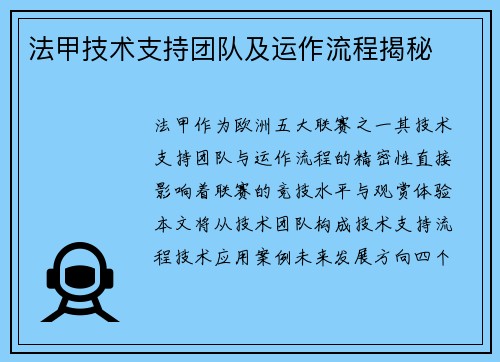 法甲技术支持团队及运作流程揭秘